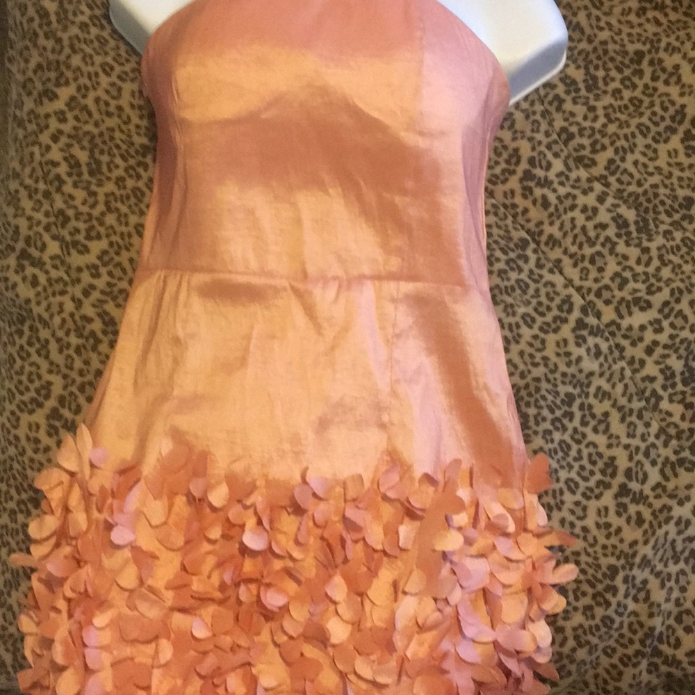 A beautiful peach flowers